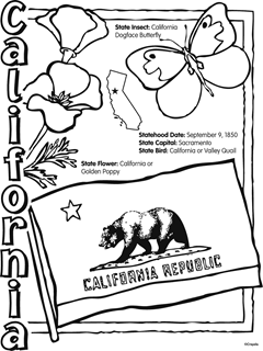 California state insect: California Dogface Butterfly, statehood date: September 9, 1850, state capital: Sacramento, state bird: California or Valley Quail, state flower: California or Golden poppy. Black and white california state flower, bird, and flag with bear. 