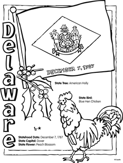 State of Delaware coloring page. Delaware state tree: American Holly, state bird: blue hen chicken, statehood date: December 17, 1787, state capital: Dover, state flower: peach blossom.  Black and white images of delaware state flag, tree and bird.