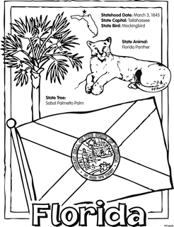 State of Florida statehood date: March 3, 1845, state capital: Tallahasse, state bird: Mockingibird, state tree: Sabal palmetto, state animal: florida panther. Black and white image of Florida state flag, state animal and state tree. 