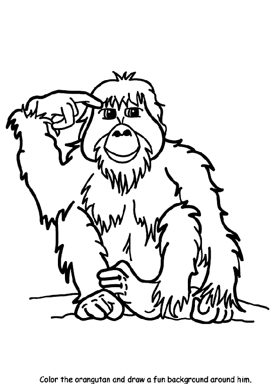 Orangutan Pictures To Color Orangutan Coloring Page crayolacom