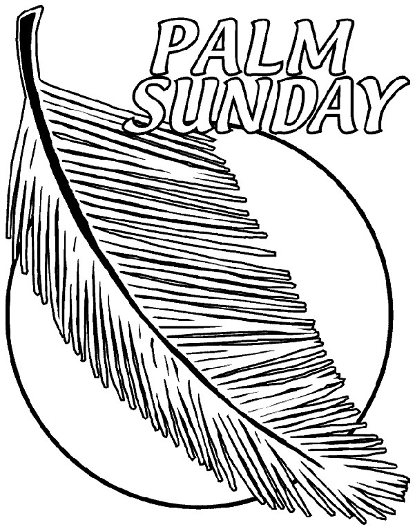palm coloring pages - photo #16