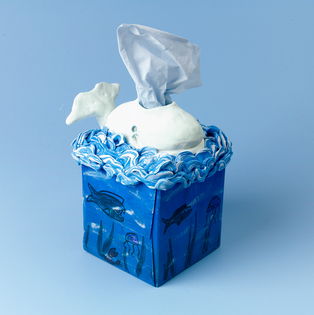 Tissue Box Craft