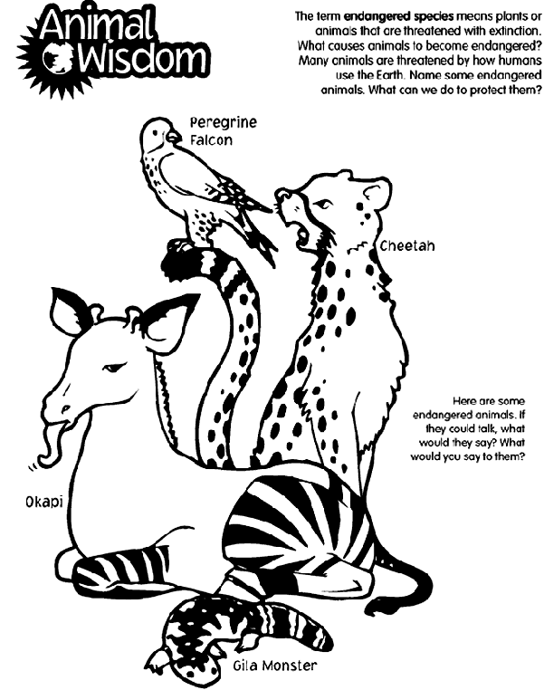 free endangered animals coloring pages - photo #4