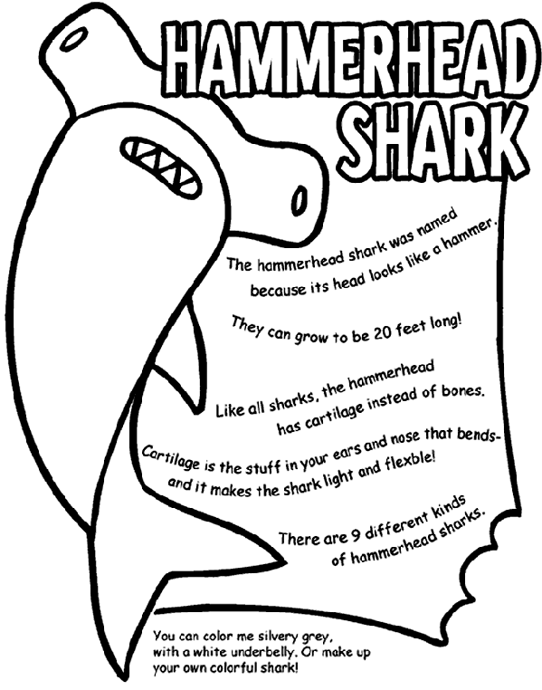 Hammerhead Shark Coloring Page Hammerhead Shark Coloring Page crayolacom