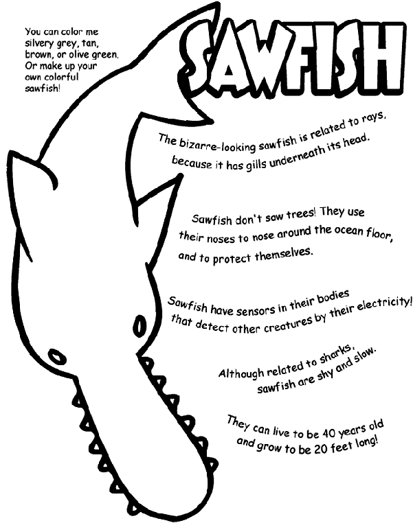 Sawfish Coloring Page | crayola.com