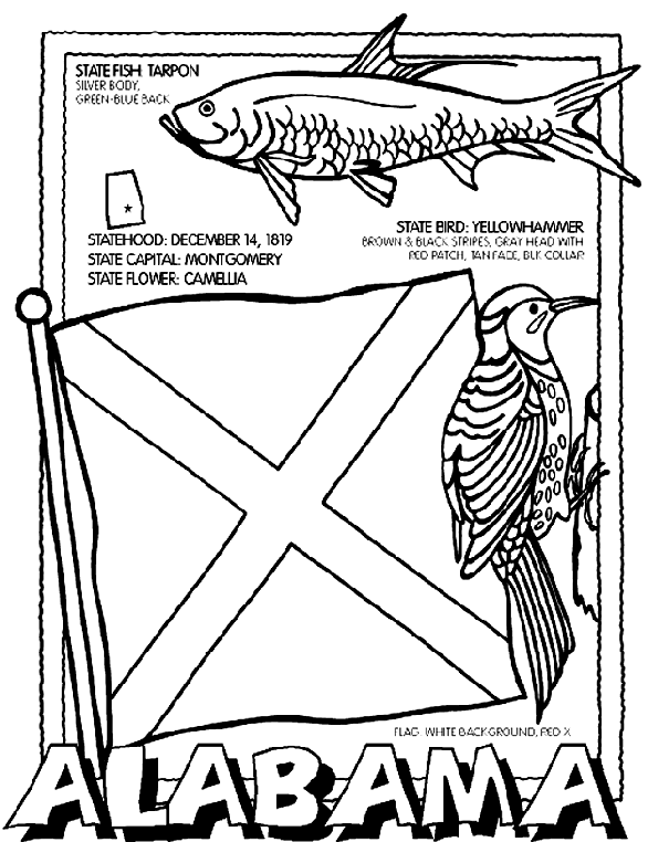 State Of Alabama Coloring Pages Alabama Coloring Page crayolacom