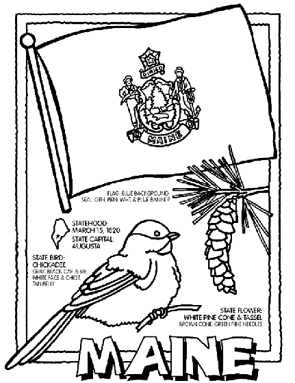 maine state bird and flower coloring pages - photo #8