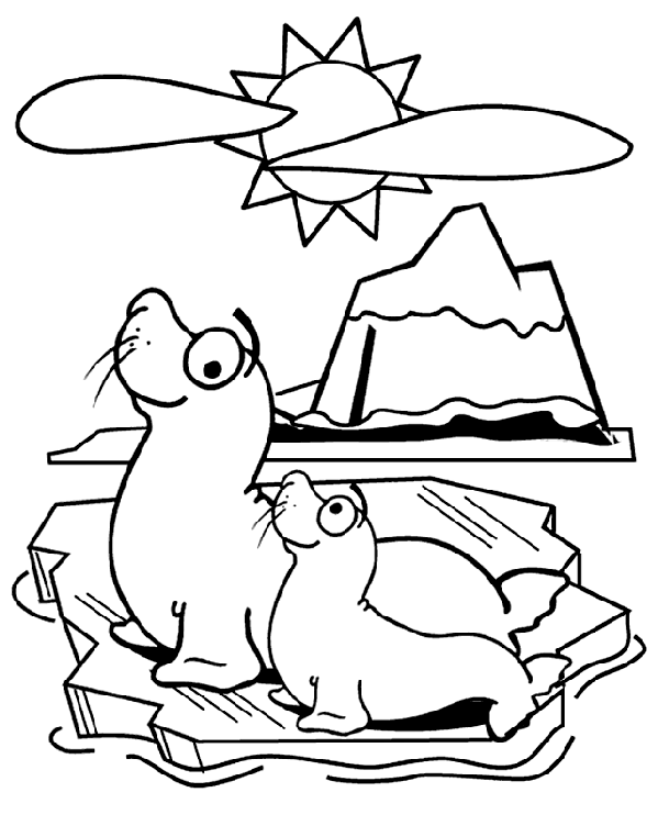 Seal Coloring Pages Seal Coloring Page crayolacom
