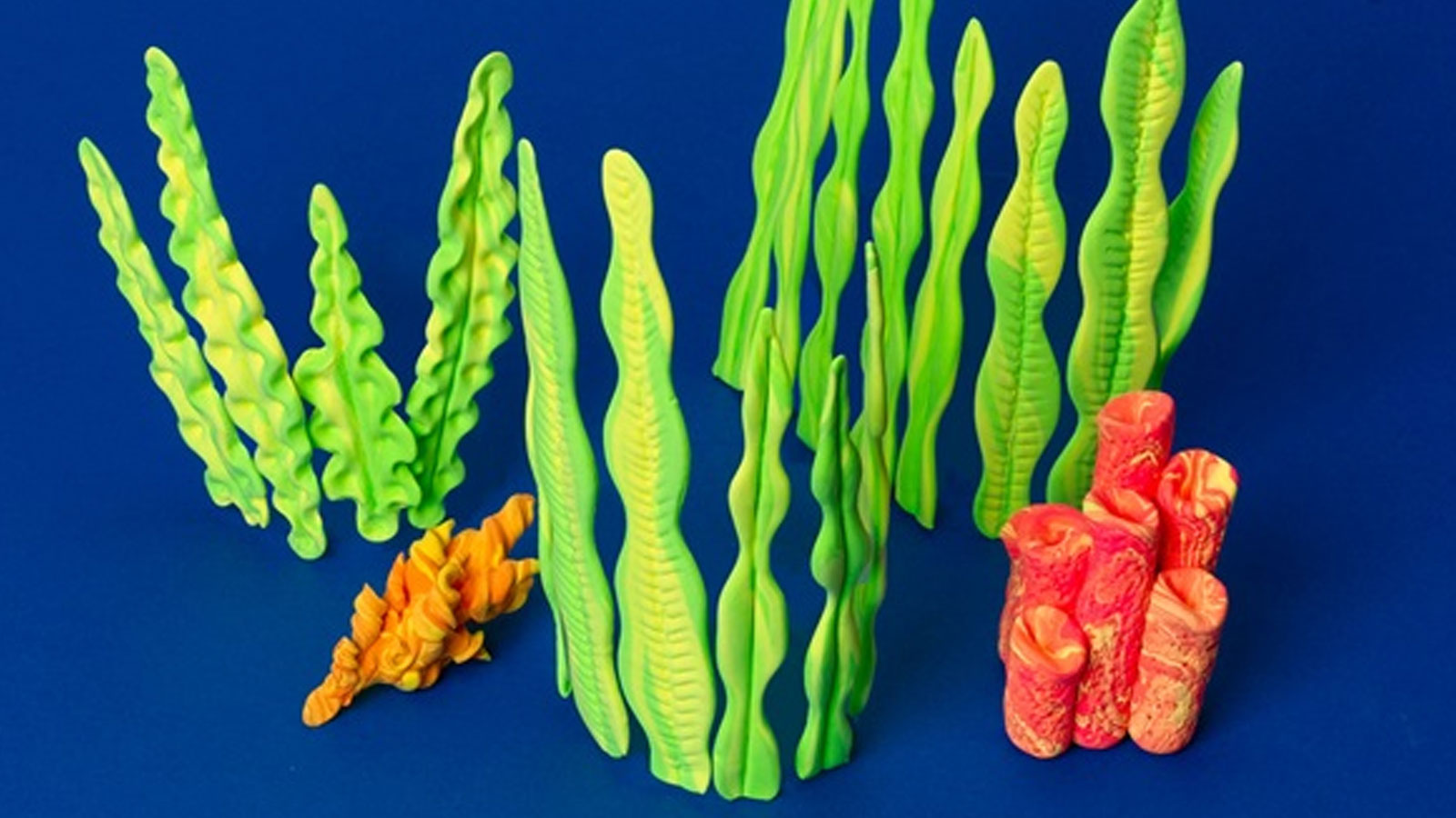 Coral Reef and Seaweed  Crayola CIY, DIY Crafts for Kids and