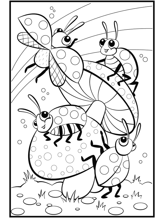 parts of an insect coloring page