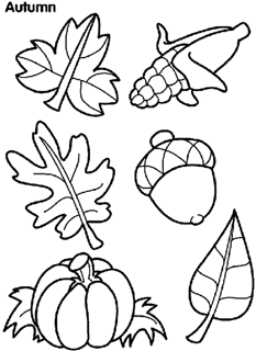 Leaves, pumpkin, corn, and acorn
