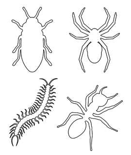 Animals | Free Coloring Pages 
