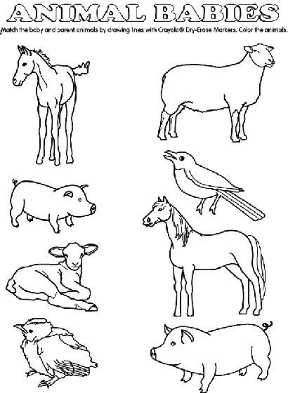 Baby Animal Match Coloring Page  crayola.com