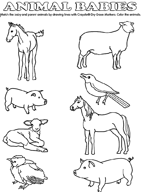 Coloring Pages Of Animals And Their Babies 1