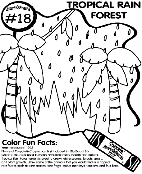 no18 tropical rain forest coloring page  crayola