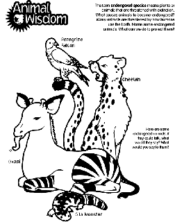 Animals Free Coloring Pages Crayola Com Color, print and share your colorful unicorns masterpiece with friends and family! animals free coloring pages crayola com