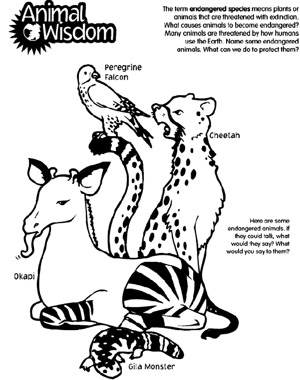 Coloring Picture Animals Animal Wisdom Coloring Page crayolacom