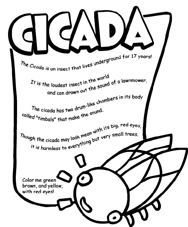 Download Cicada Coloring Page | crayola.com
