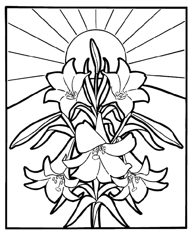 Easter Lilies Coloring Page Crayola Com