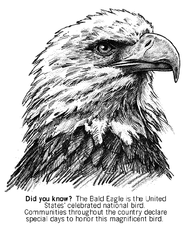 Bald Eagle Coloring Page | crayola.com