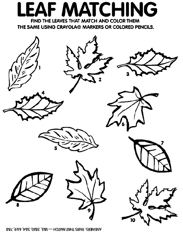 Leaf Matching Game Coloring Page