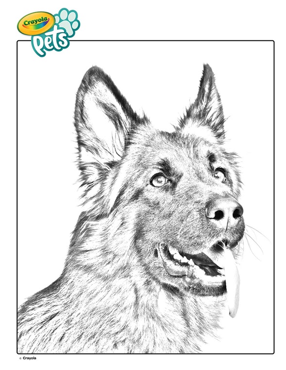 German Shepherd Pet Dog Coloring Page | crayola.com