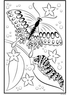 Download Animals Free Coloring Pages Crayola Com