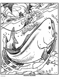 Animals Free Coloring Pages Crayola Com With also you can also visit our insect coloring pages gallery, if you prefer more little species. animals free coloring pages crayola com