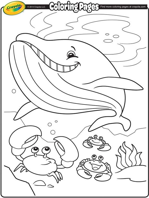 Download Whale Coloring Page | crayola.com