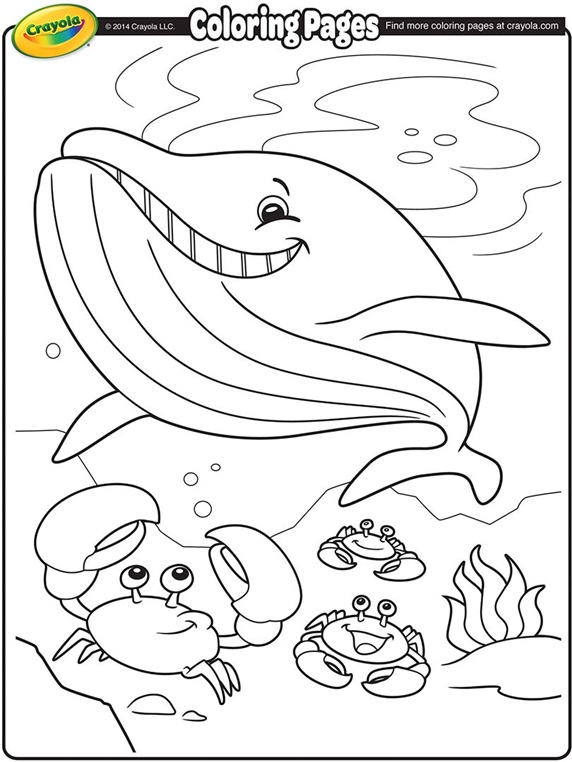 Whale Coloring Pages Kids 8