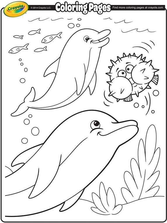 Dolphins Coloring Page | crayola.com