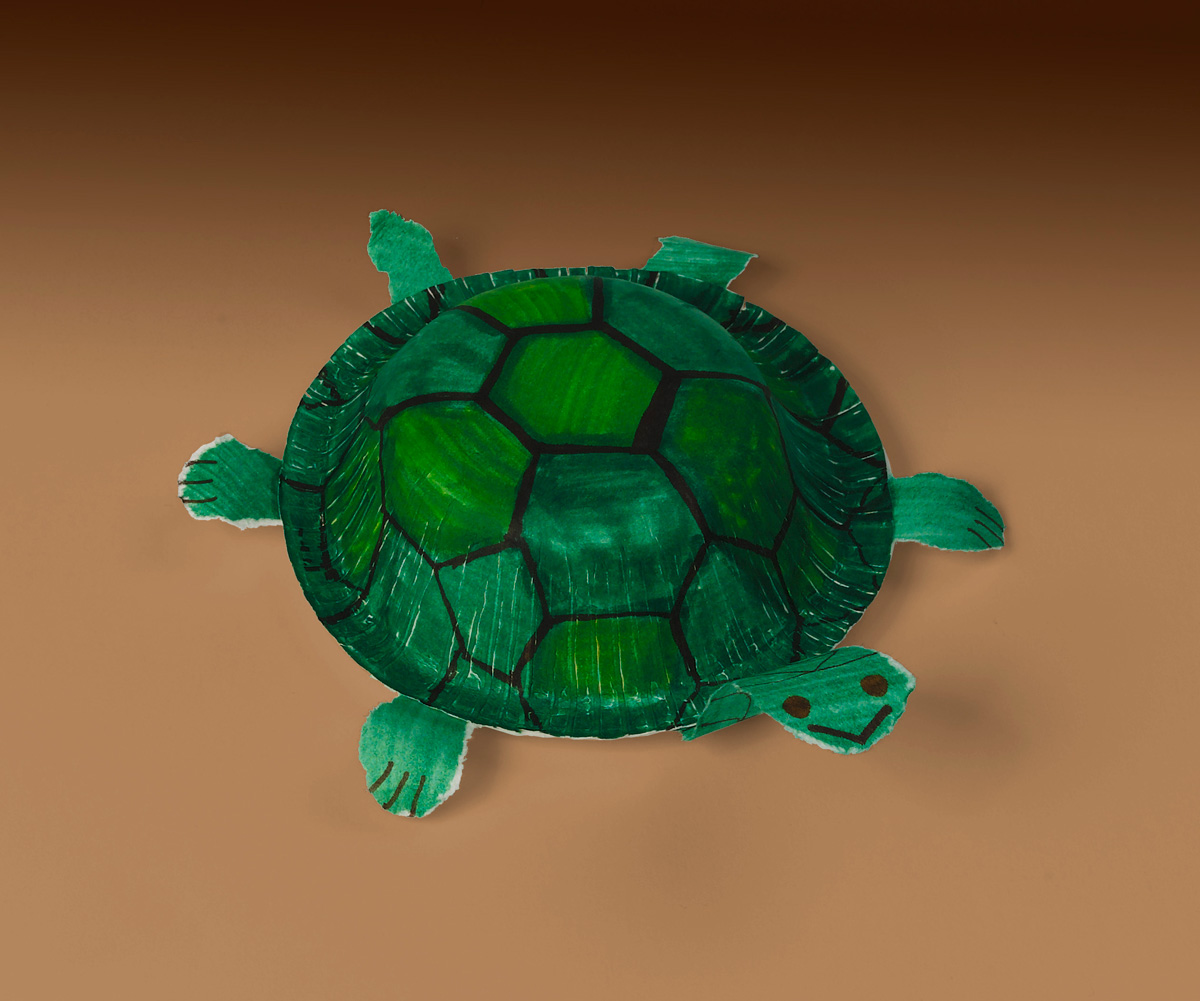 turtle outline turtle outline