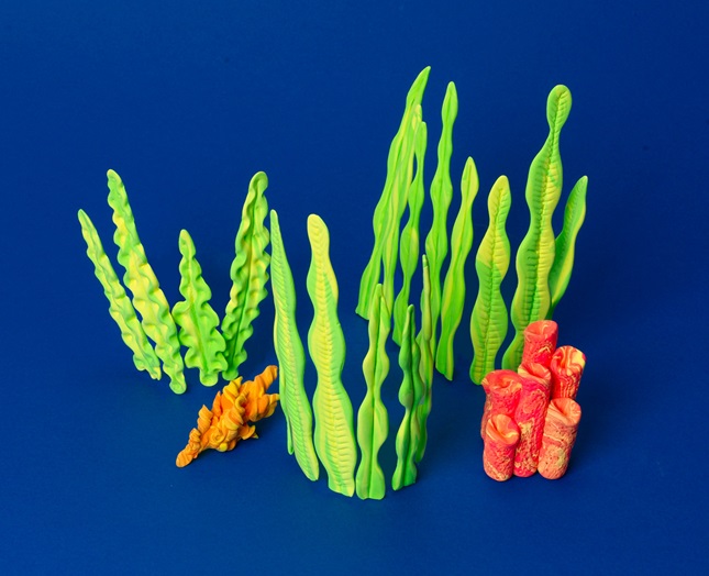 Coral Reef and Seaweed Craft | crayola.com