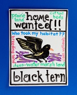 Wildlife &#39;Real Estate&#39; Ads lesson plan