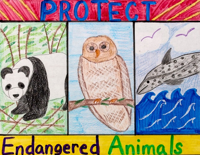 Erase It Endangered Animals Crayola Com