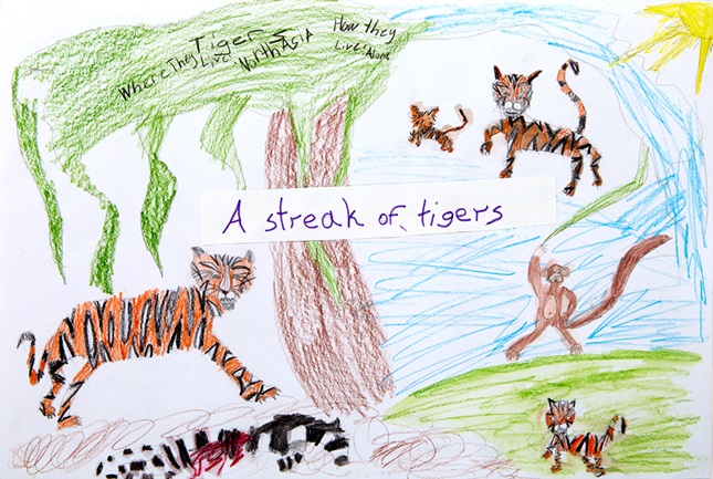Animal Families Animal Families
