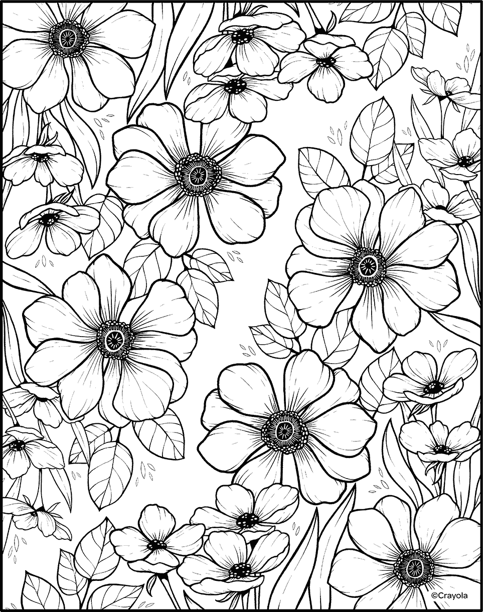 Free printable coloring pages for adults | crayola