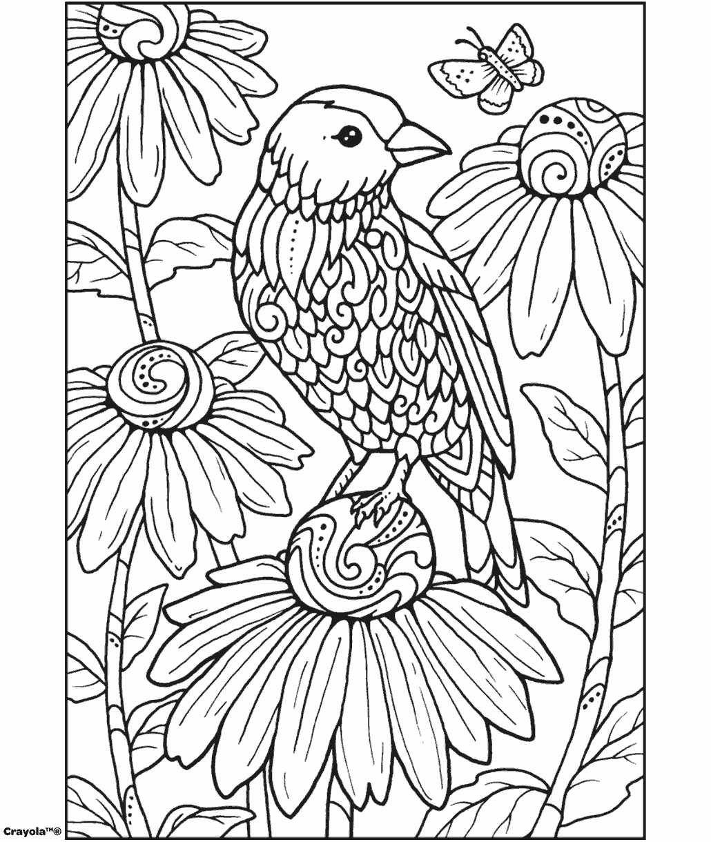 Bird coloring page showing a detailed songbird perched on a flower surrounded by blooming blossoms and a butterfly.