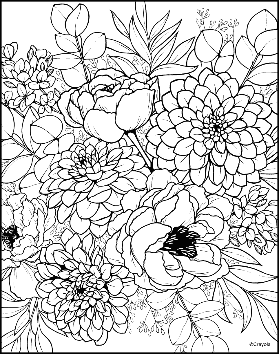 Dahlias and peonies flower coloring page for adults