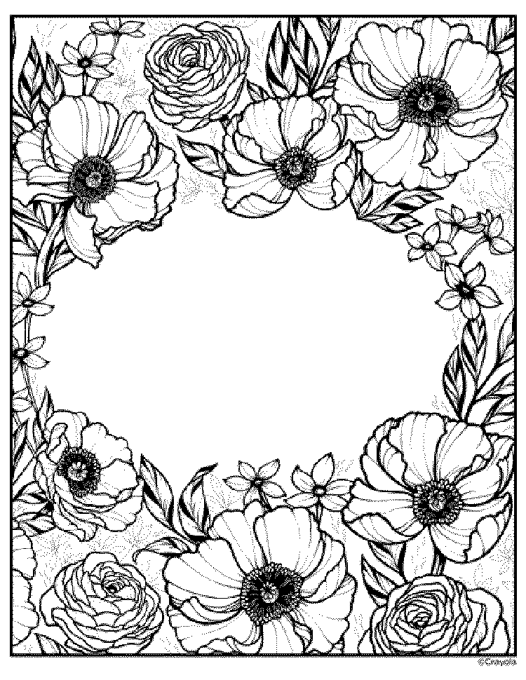 Rosas y flores en flor