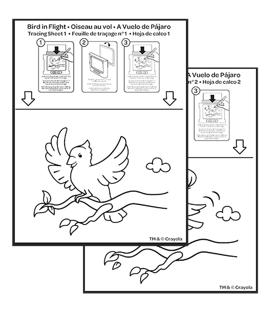 Bird in Flight Animated Glow Board Tracing Sheets