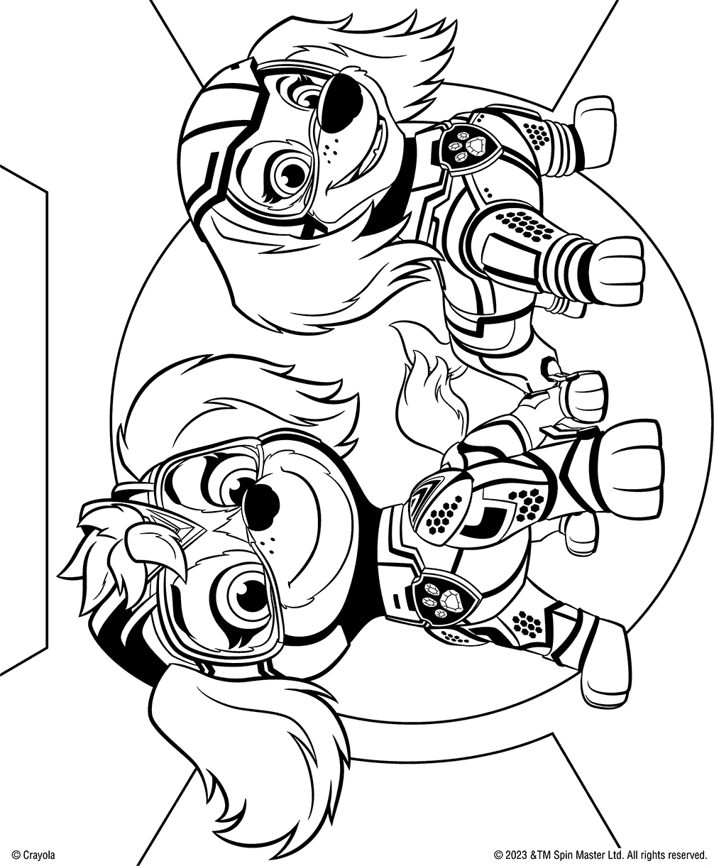 Paw Patrol Mighty Pups