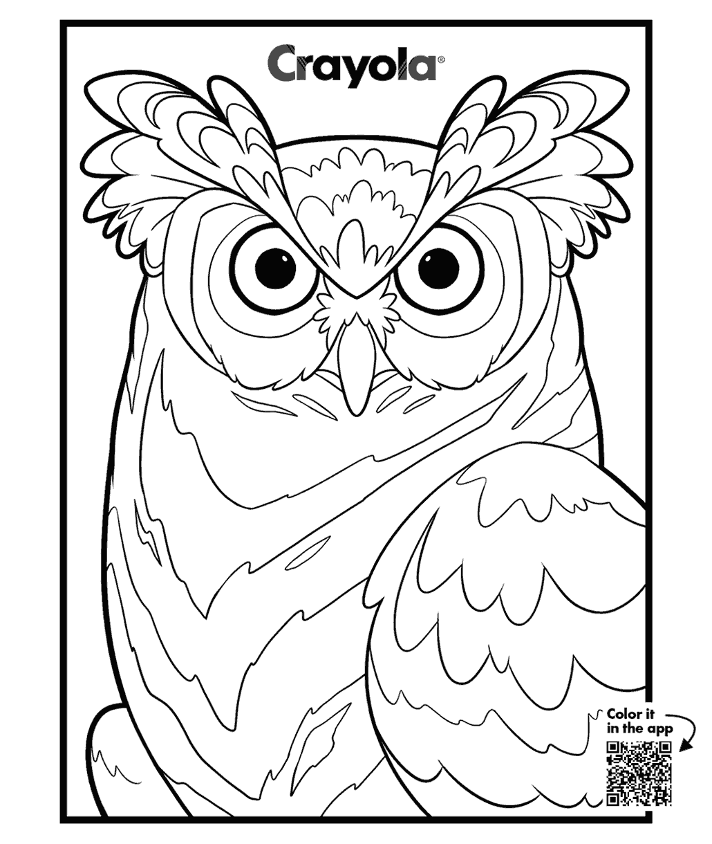 Adult owl coloring page with large feather sections and bold outlines, printable page or color digitally in the Crayola Adult Coloring app by Red Games