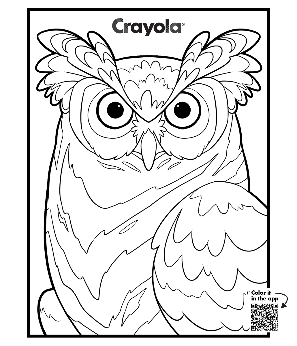 Adult owl coloring page with large feather sections and bold outlines, printable page or color digitally in the Crayola Adult Coloring app by Red Games