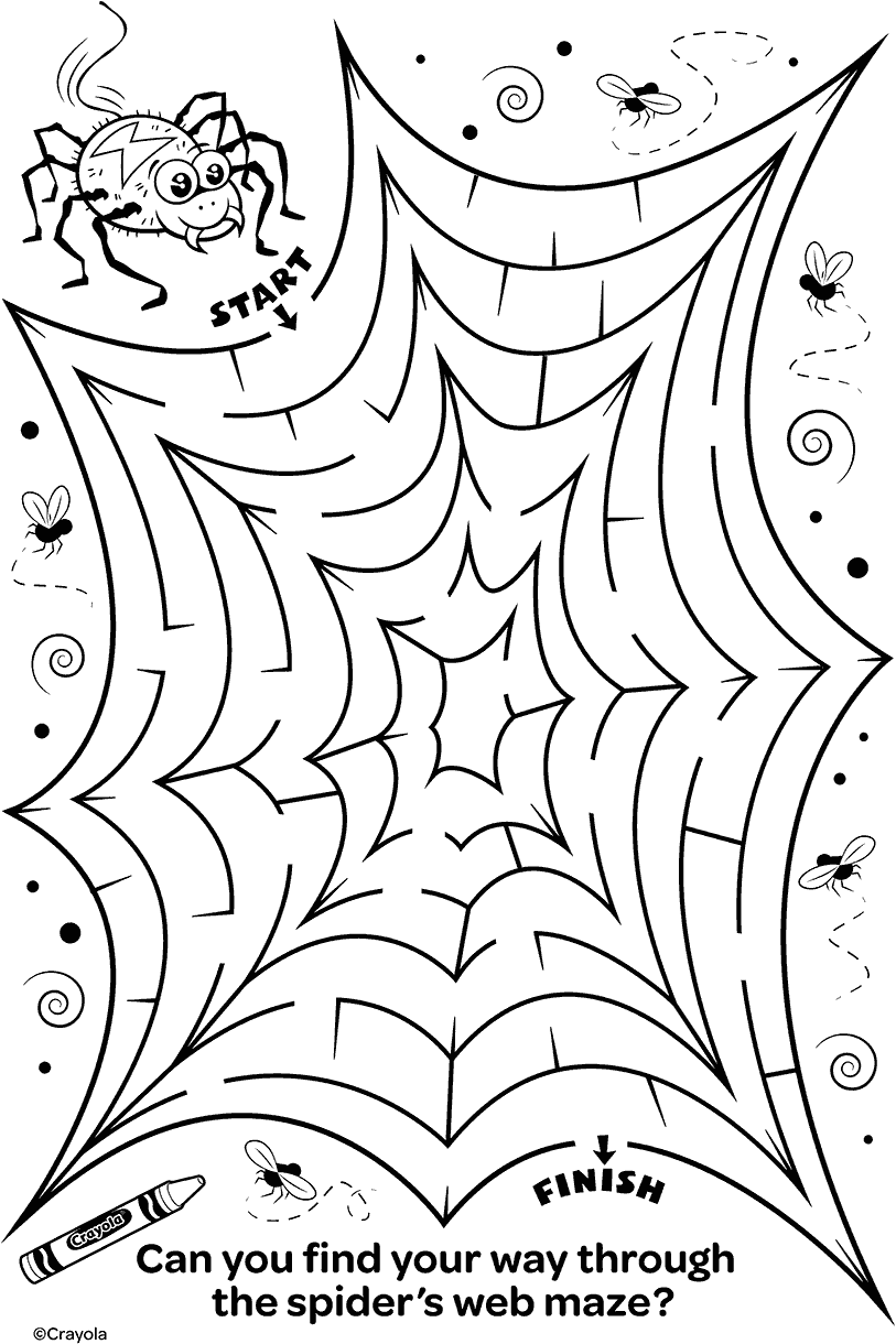 Can you find your way through the spider's web maze?