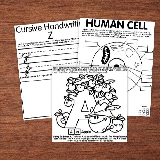 education coloring pages