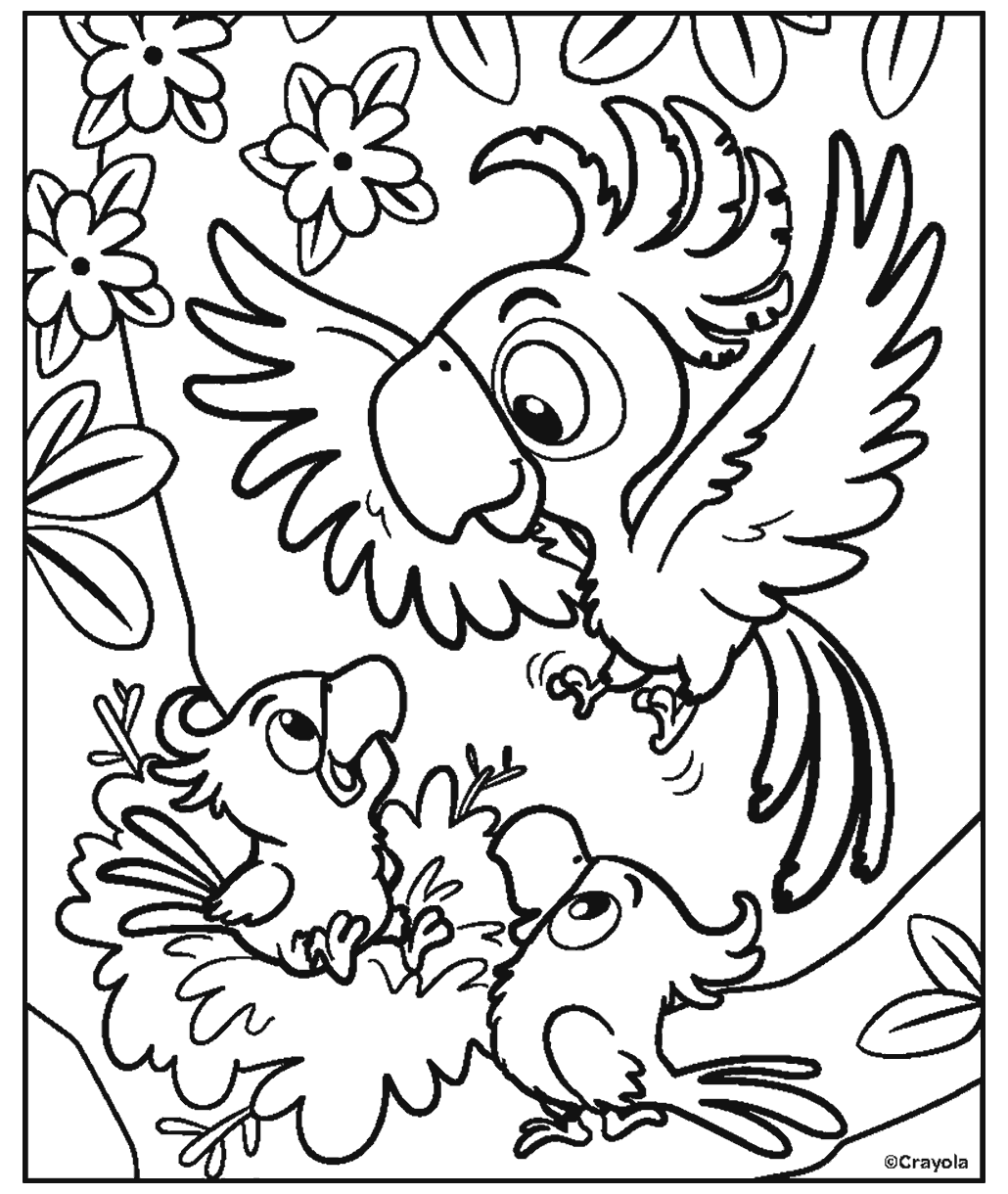 Parrot coloring page showing a parent parrot flying above two baby birds in a nest surrounded by flowers and leafy branches.