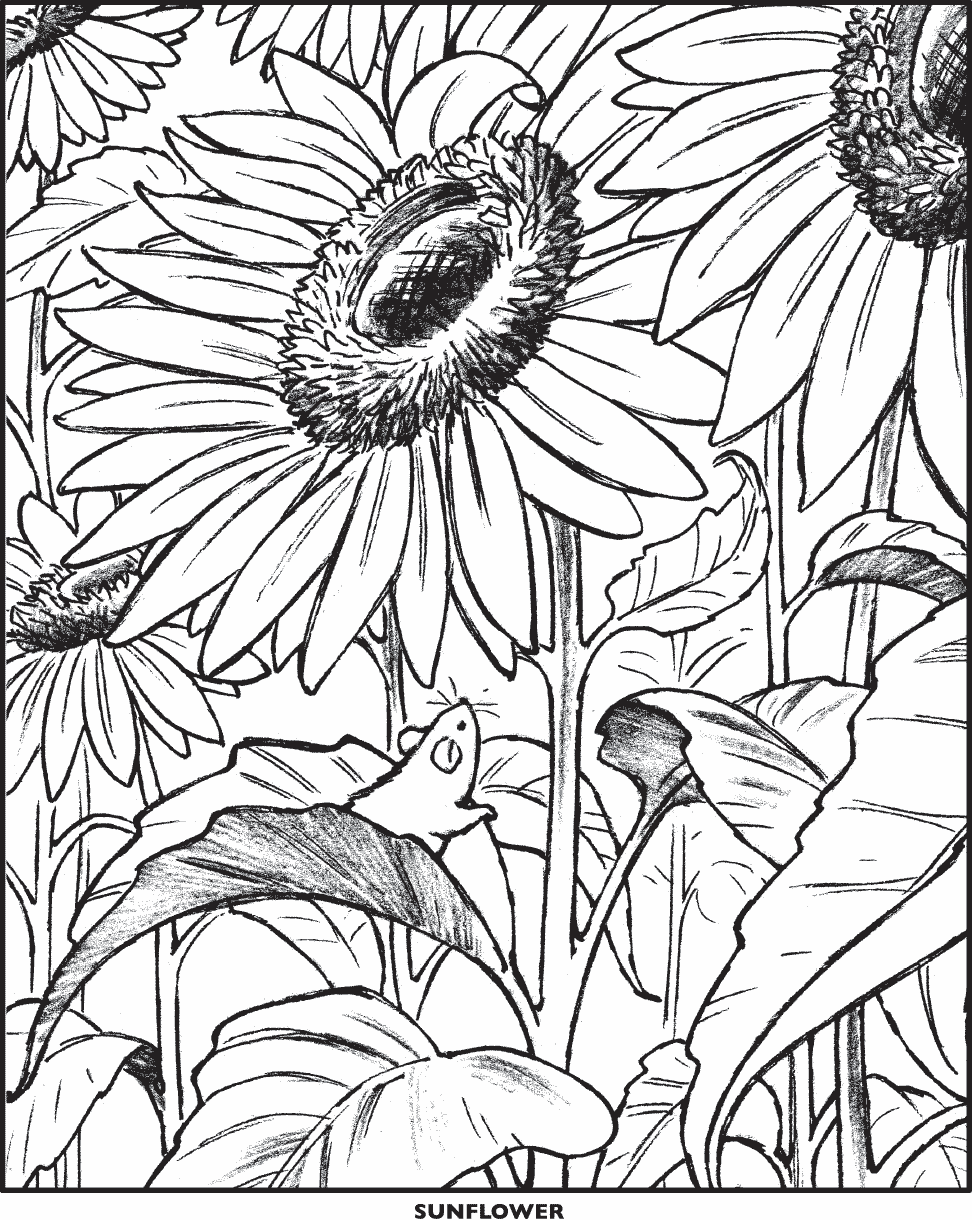 sunflower with mouse detailed coloring page