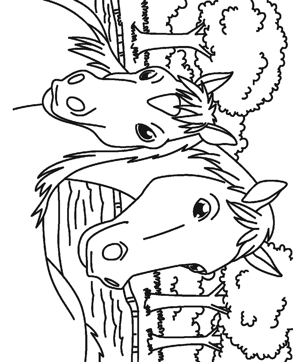 Horse colouring page showing two horses standing together in a grassy outdoor setting with trees in the background.