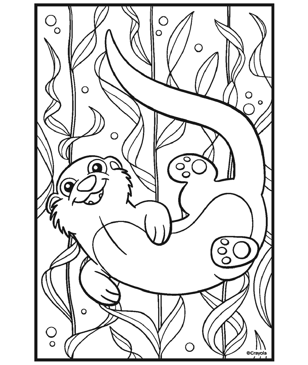 Cute otter floating in water with water plants and bubbles.